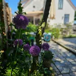 Logement Hellevoetsluis Guest house 3*