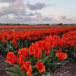 Logement Hellevoetsluis Guest house Hellevoetsluis