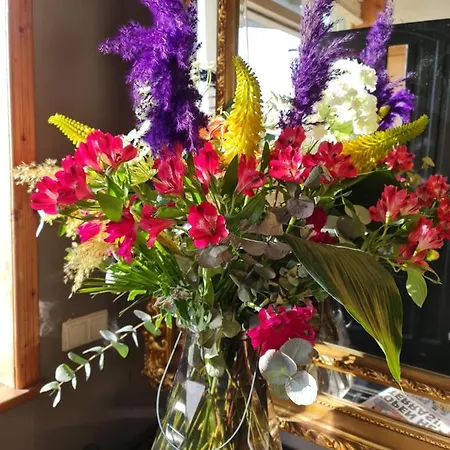 Pensjonat Logement Hellevoetsluis