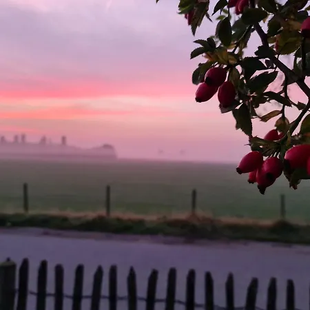 Logement Hellevoetsluis Gæstehus