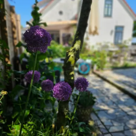 Logement Hellevoetsluis Pensjonat 3*