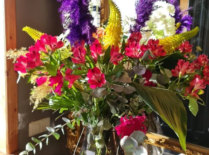 Guest house Logement Hellevoetsluis