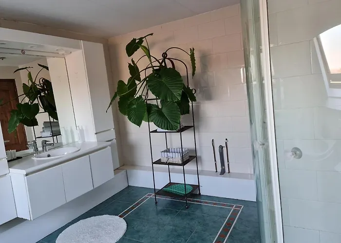 Logement Hellevoetsluis 3*