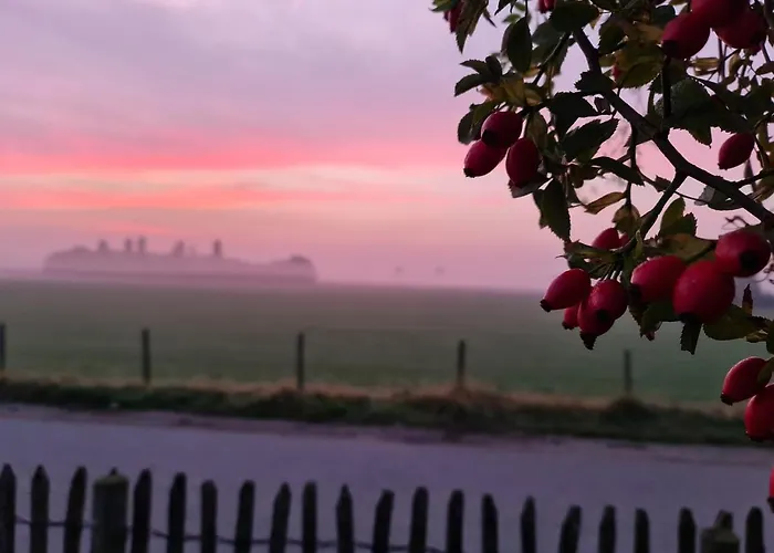 Logement Hellevoetsluis Guest house