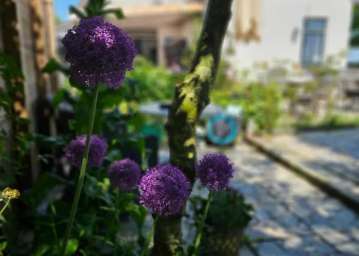 Logement Hellevoetsluis Guest house 3*